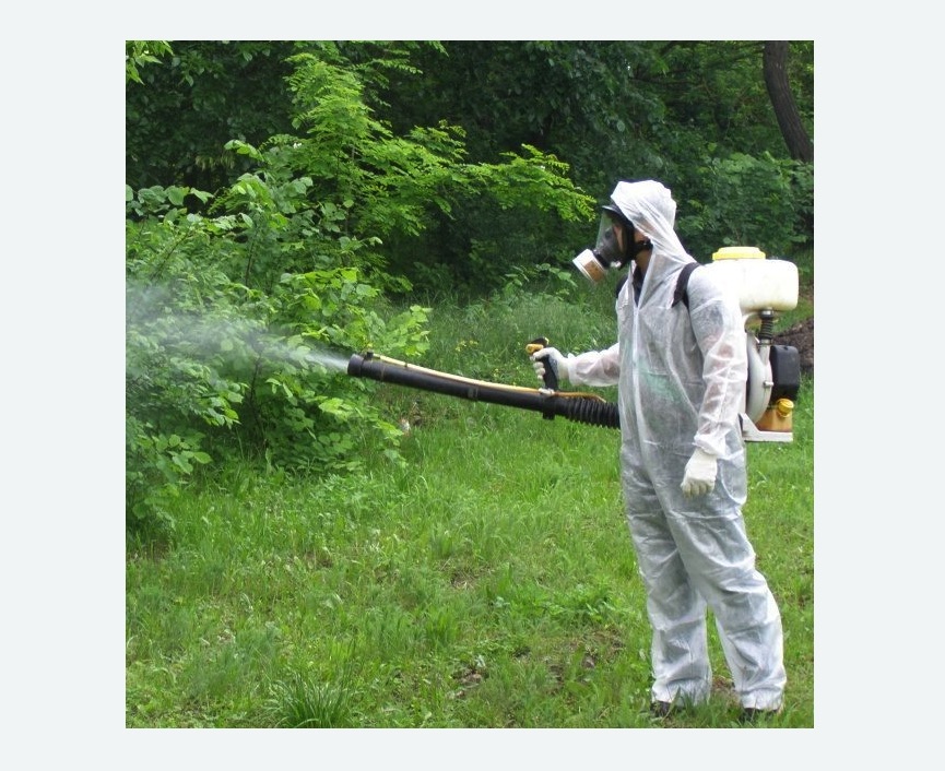 обработка территории от клещей в Хорошево-Мневники города Москвы