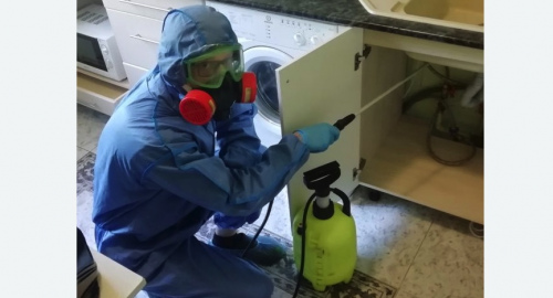 Уничтожение муравьев в квартире. Хорошёво-Мнёвники