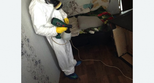 Обработка квартир от насекомых в Хорошево-Мневники города Москвы