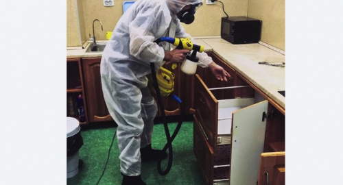 Дезинсекция квартиры. Хорошёво-Мнёвники