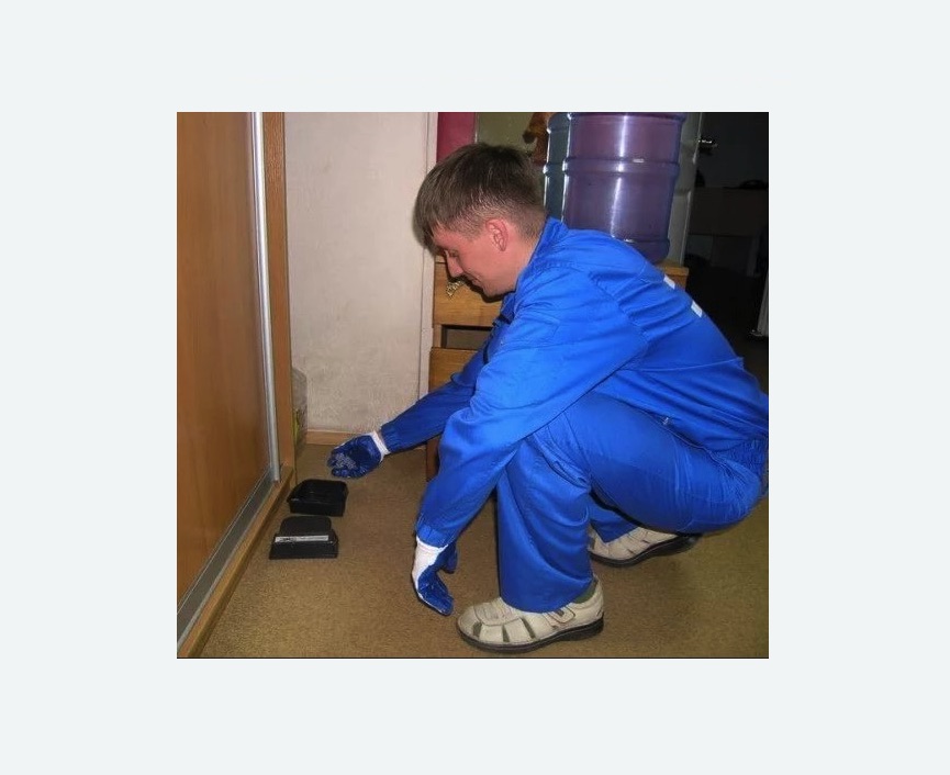 Дератизация крыс в Хорошево-Мневники города Москвы