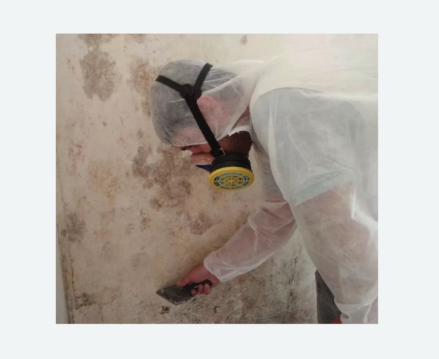 Обработка стен от плесени в Хорошево-Мневники города Москвы