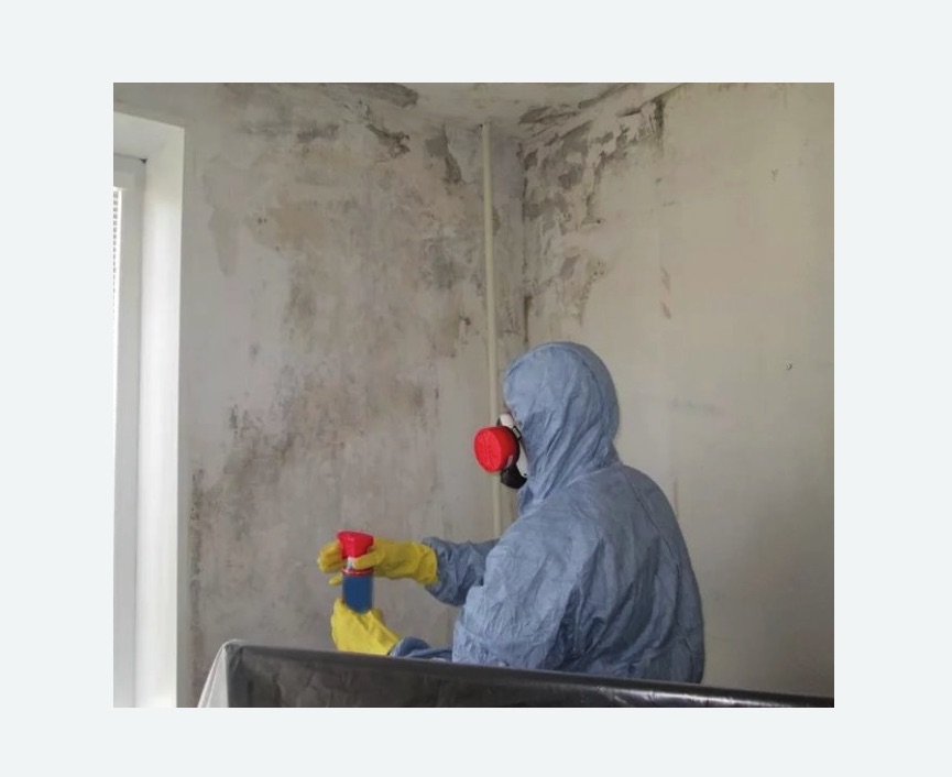 Удаление плесени в квартире в Хорошево-Мневники города Москвы