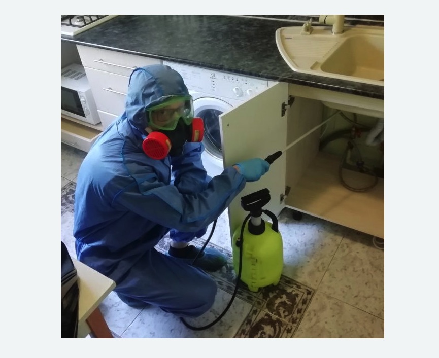 обработка от муравьев в квартире в Хорошево-Мневники города Москвы