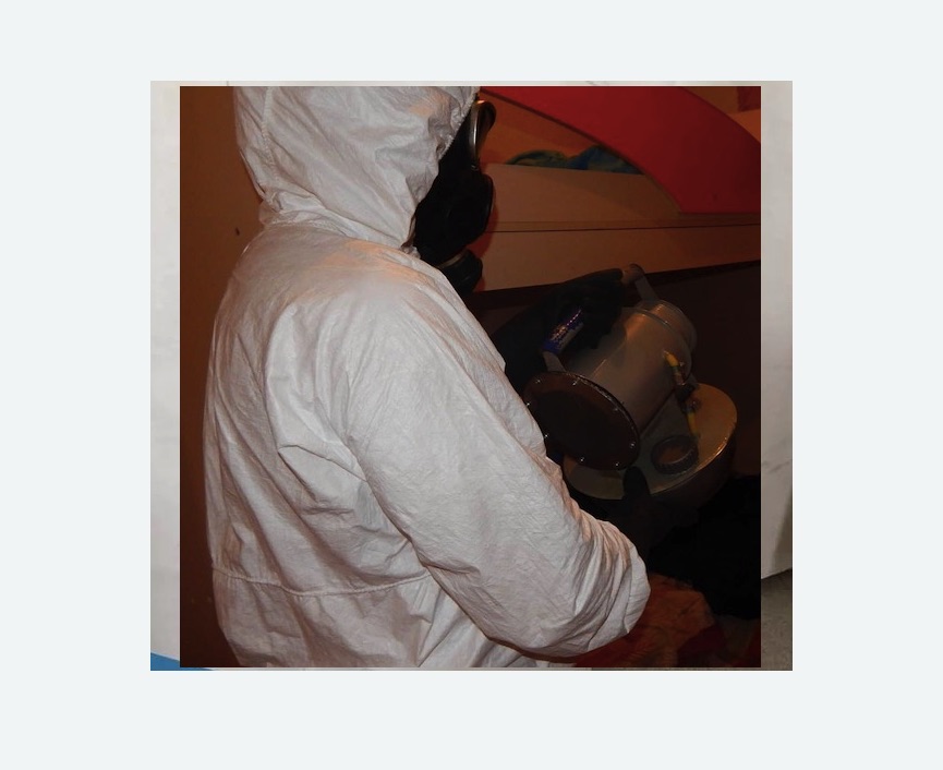 Дезинфекция от муравьев в Хорошево-Мневники города Москвы